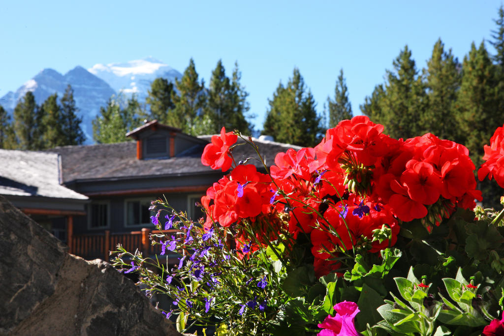 Mountaineer Lodge Lake Louise Esterno foto